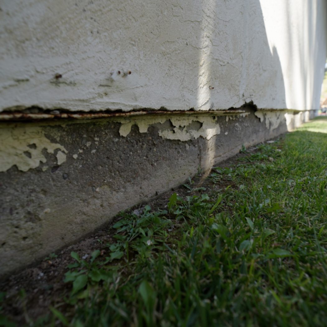 C2828.00_02_08_22.Still004 (1)